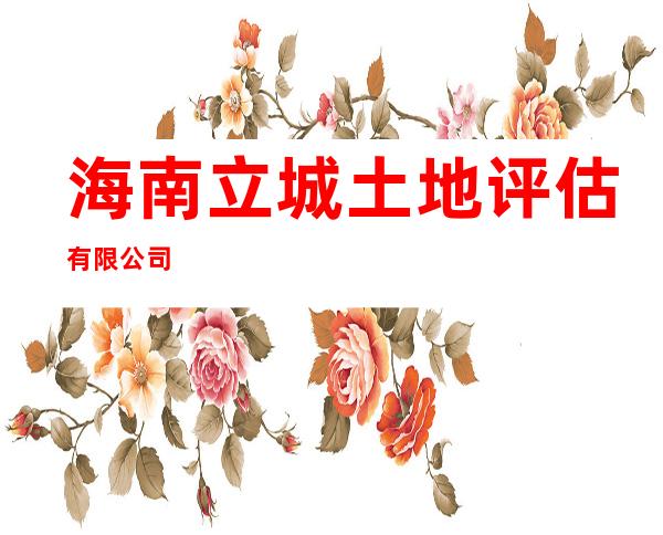 海南立城土地评估有限公司