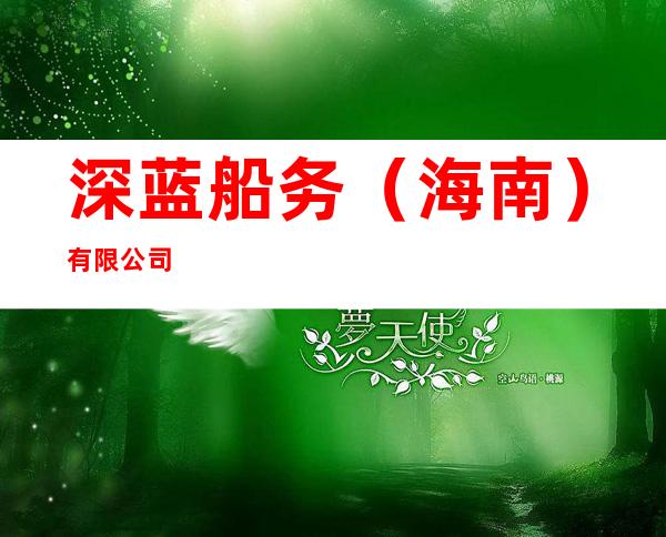 深蓝船务（海南）有限公司
